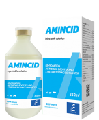 AMINCID