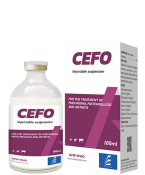 CEFO