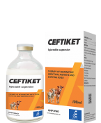 CEFTIKET