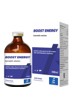 ENERGY BOOST