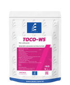 TOCO-WS